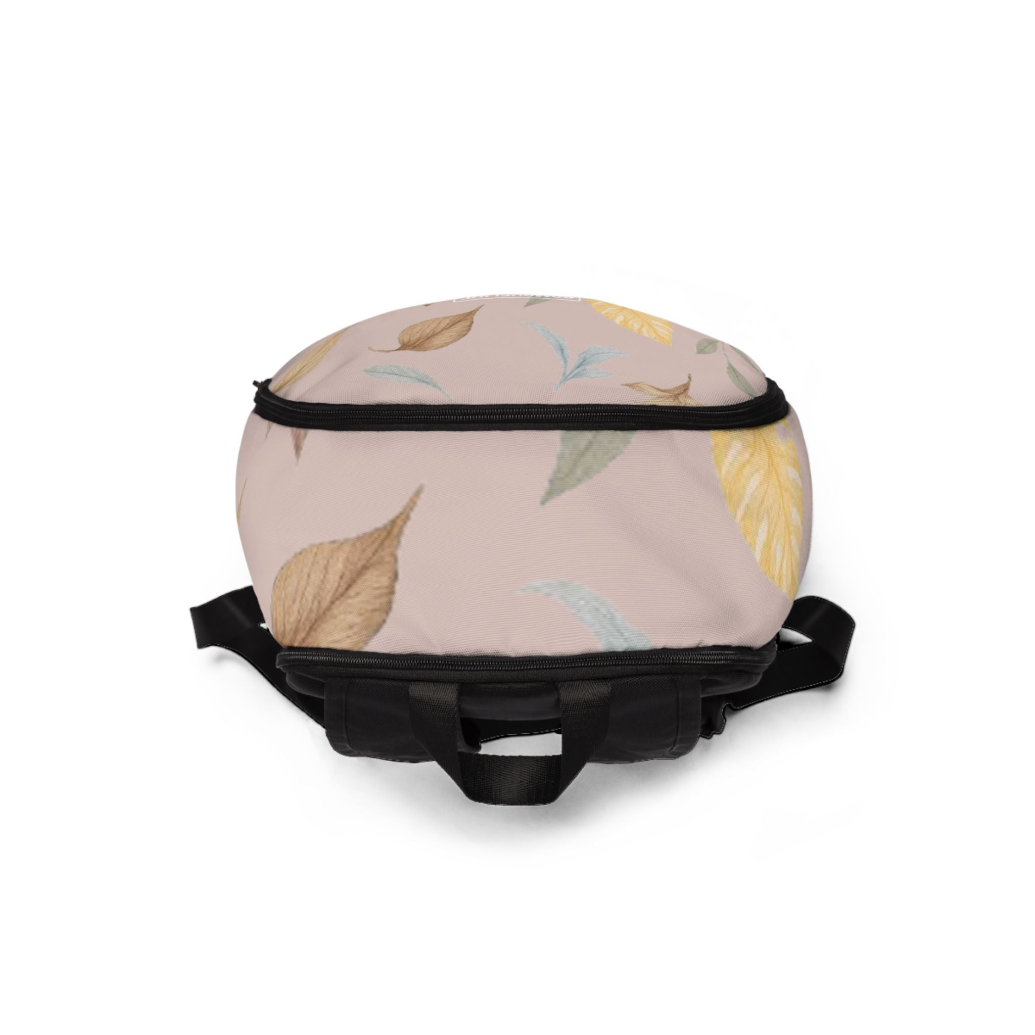 Aviary Vault: Il Tuo Nido per Avventure Urbane