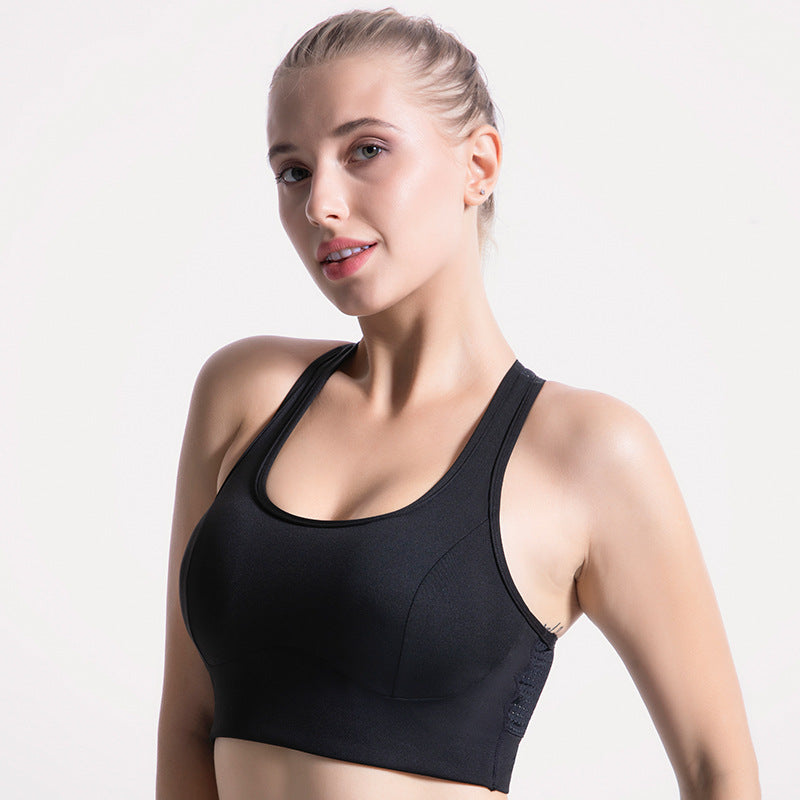 Sports Bra in Pizzo & Mesh Traforato